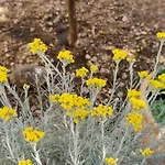 Garden Family アパート マカルスカ