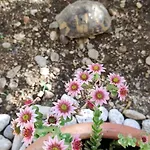 Apartment Garden Family Makarska